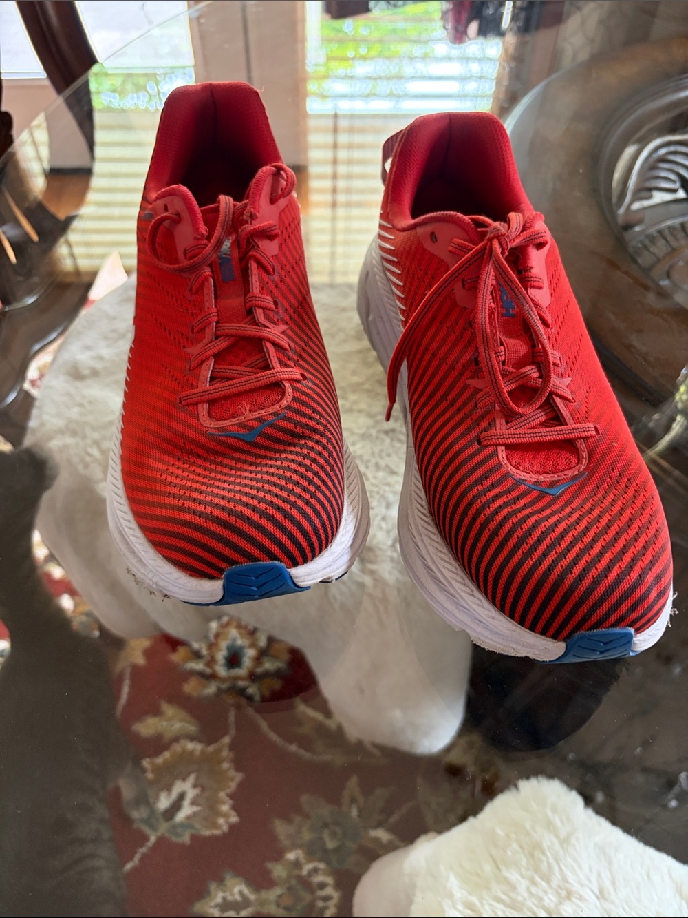 Red Running Shoes with Blue Accents